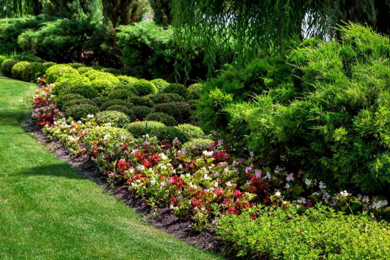 well maintained park with flower bed of green spaces, plants on sunny summer garden with landscaping.